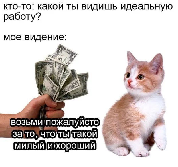 25 грустных, но жизненных мемов про зарплату
