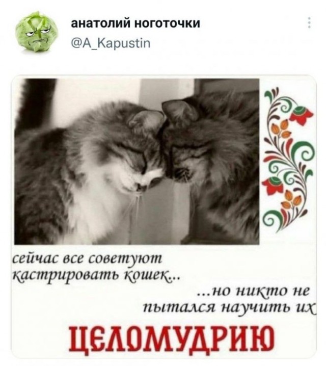 Веселые картинки в маленькую пятницу (13.08)