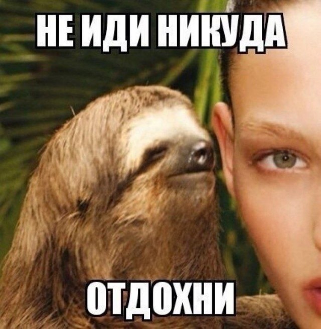 Четверговые картинки