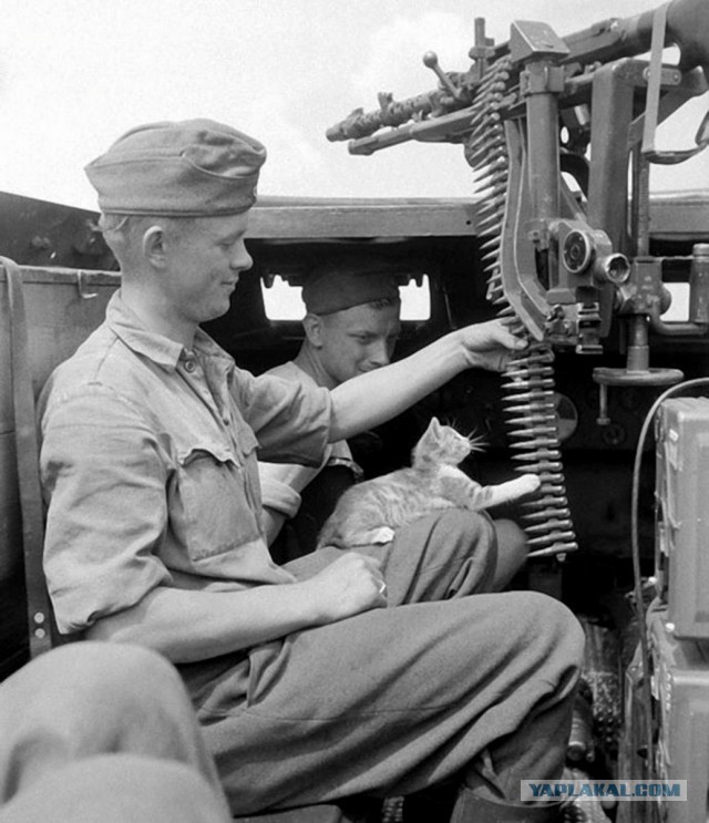 1942 White M3A1 Scout Car. Автопятница №140