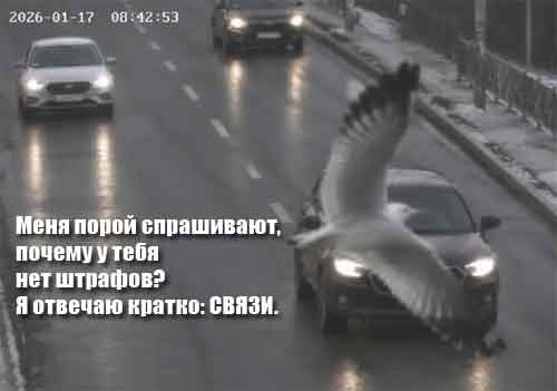 Веселые картинки в понедельник (26.10)