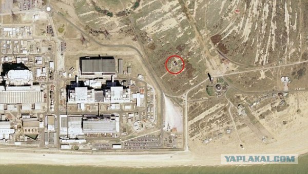 Домик в "заповеднике" (9 фото)