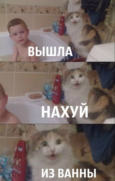 Не все рады концу рабочей недели...