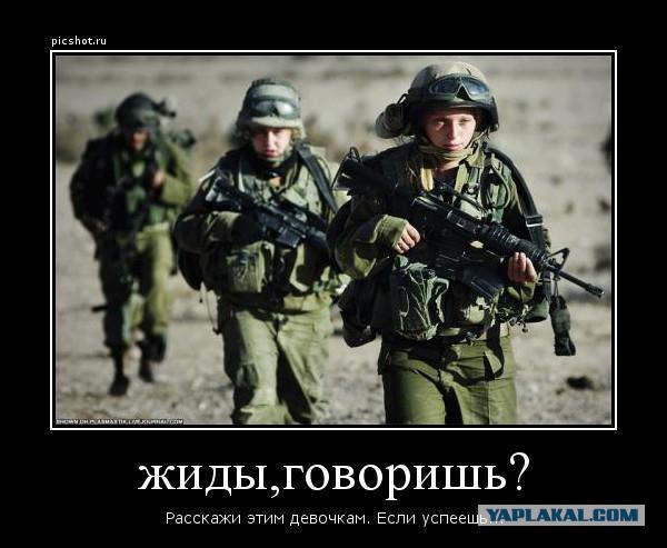 Что смотришь?