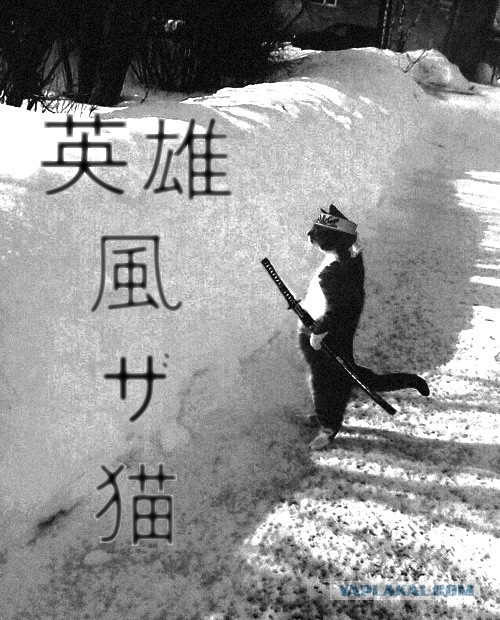 Март ты где ?