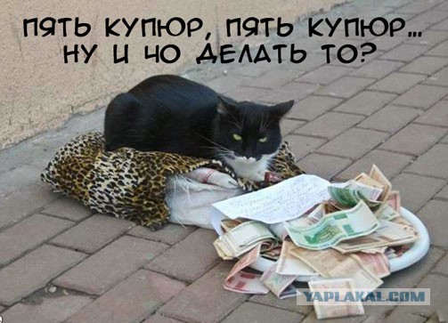 Мой проект на Кикстартер!