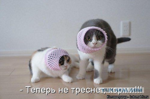 Тема для юмора