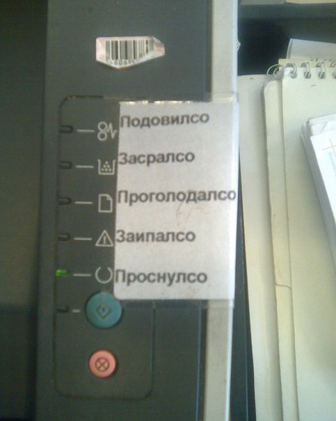 Подборка прикольных фото на начало мая