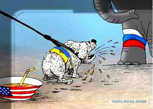 Визит Путина в Севастополь возмутил Украину