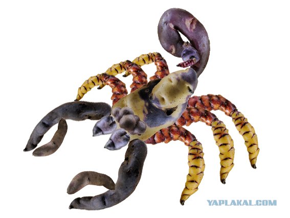 Попробуй угадай-ка!