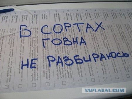 Москва голосует