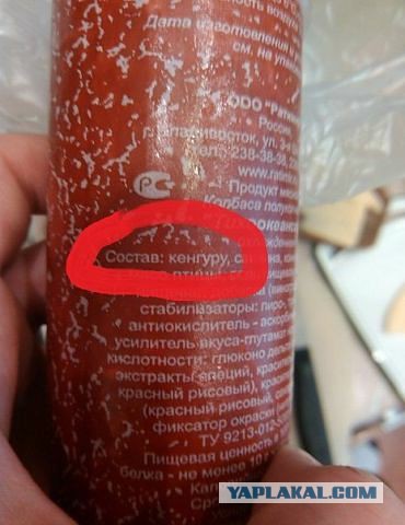 Началось?