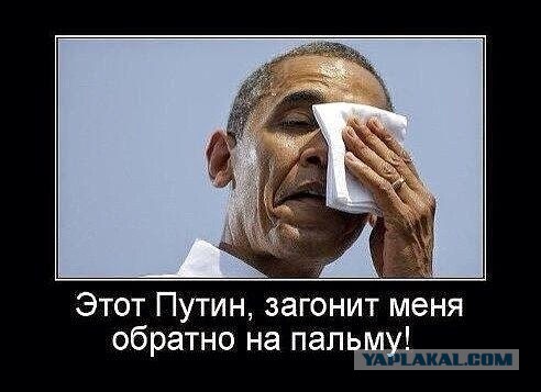 Американцы о встрече Обамы с Путиным в Китае