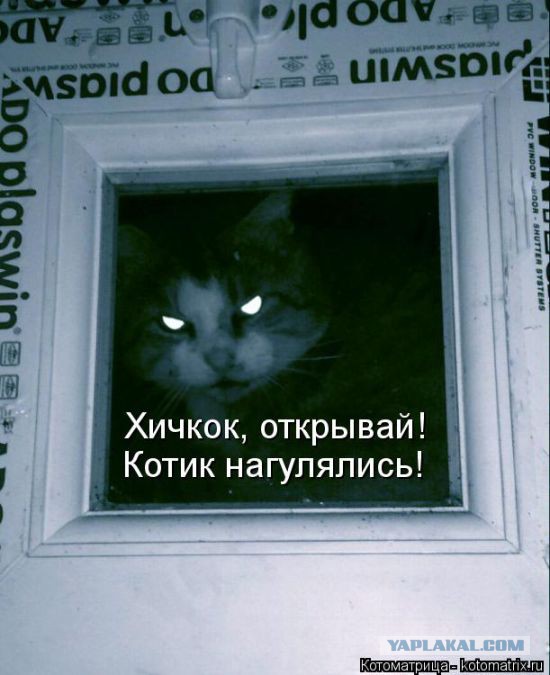 Ты чего дерзкий такой?!