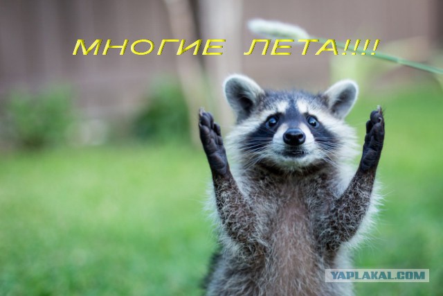 ЯП, С Днём Рождения !