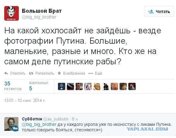 Солянка политическая #8