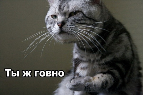 "Главное приключение лета" состоялось