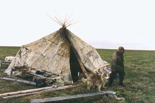 Как из камней и палок за три дня построить дом