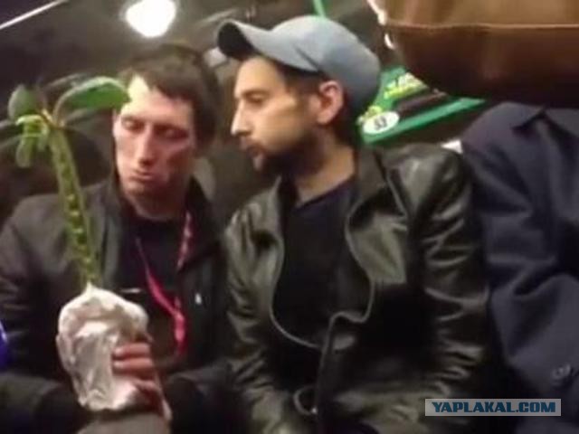 Зачем нам это слово сказал?
