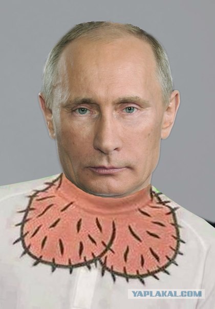 С днем рождения, В.В. Путин!