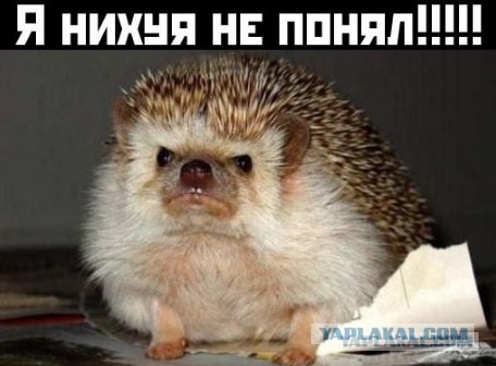 Щинанай