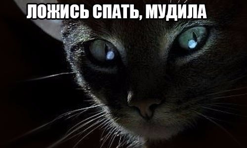 Немного картинок и демотиваторов