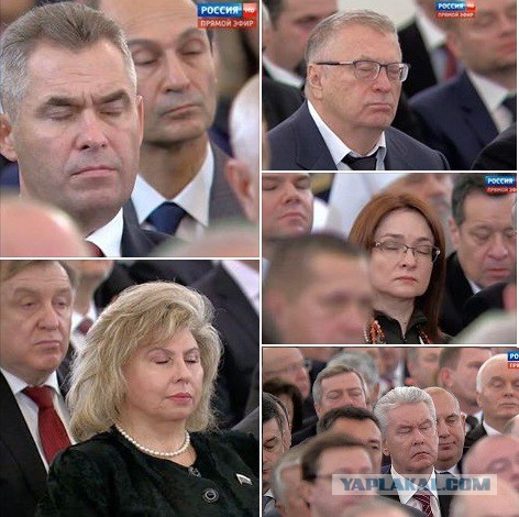 Пожабим Димона