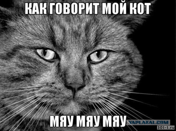 В Иркутской области полицейские пытали женщину