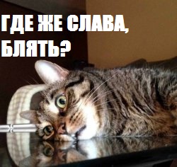 У меня грустные новости для соЯПовца. Слава Новиков тут есть?