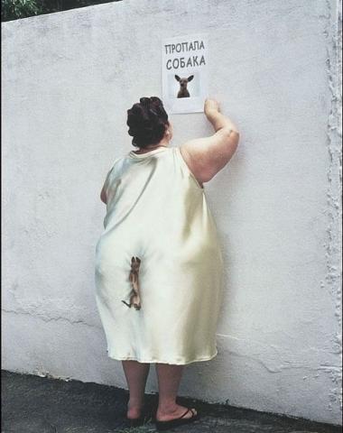 Как нашли собаку