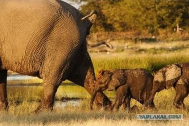 ТП в эфире Динамит ФМ