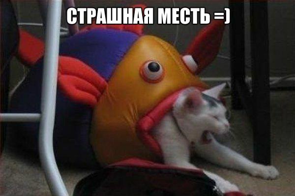 Мохнатые беспредельщики