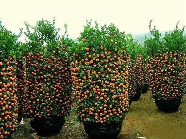 Картинки разные