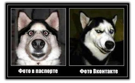 Интересные и веселые картинки