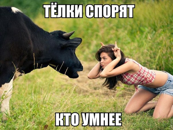 Подборка интересных и веселых картинок