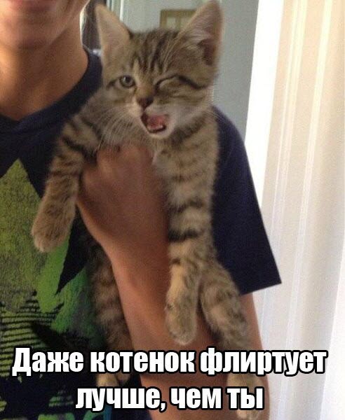 Абсурдный юмор ч.26