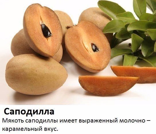 Подборка интересных и смешных картинок