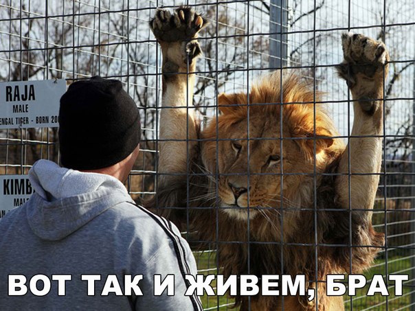 Божьи твари
