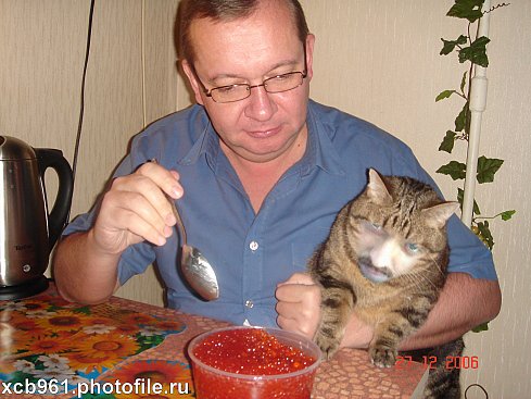 Фотожаба: Правильное питание для кота