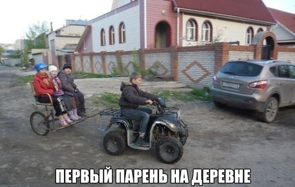 Весёлые картинки