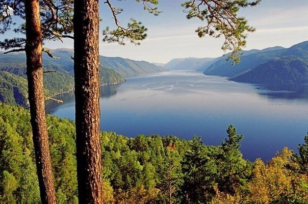 Порция картинок