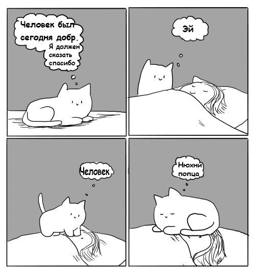 Юмор не для всех