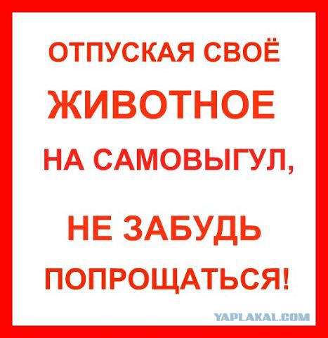 Как я стал убивцем (за друзей нужно мстить).