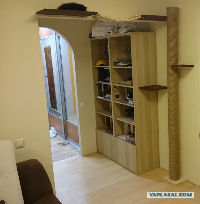Очередной котодом на ЯПе (лёгких путей не ищем)