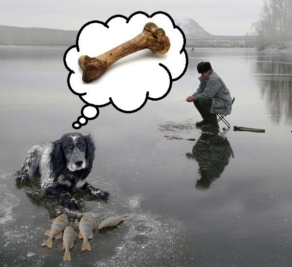 А ты любишь зимнюю рыбалку? Тогда смотри
