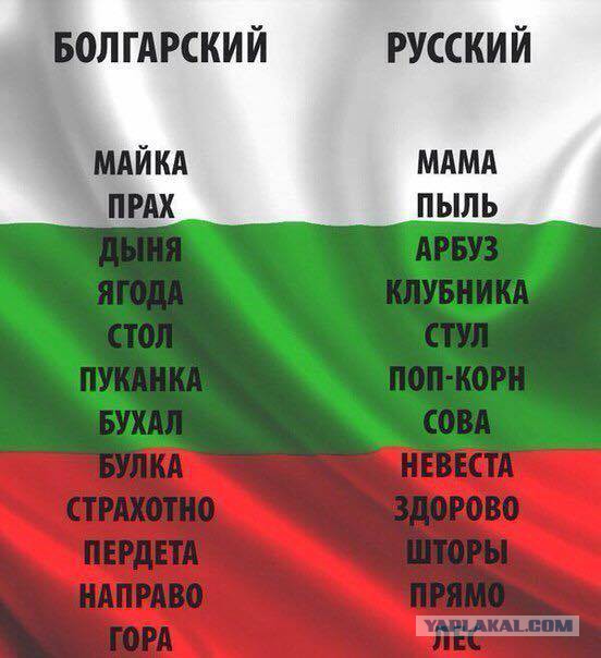 Небольшая подборка забавных картинок
