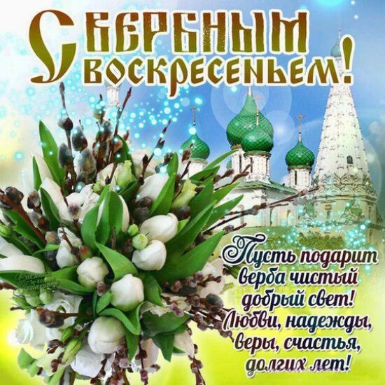 Жизнь как она есть 2