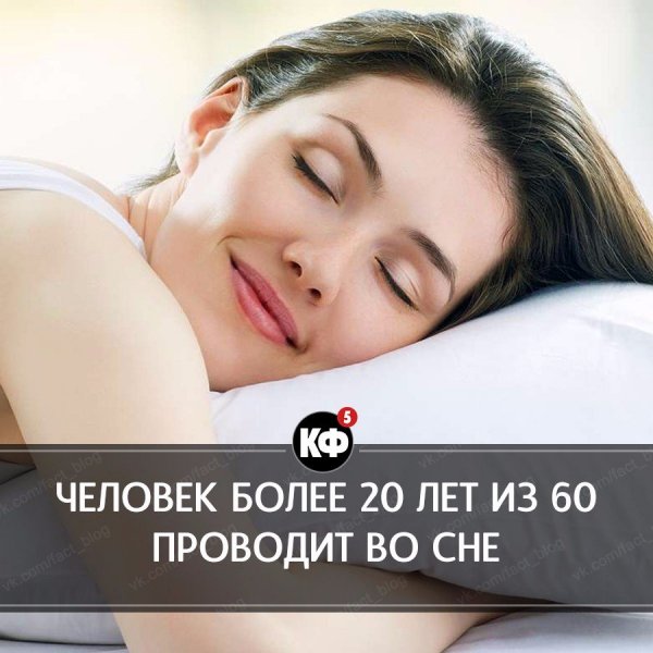 Краткие факты