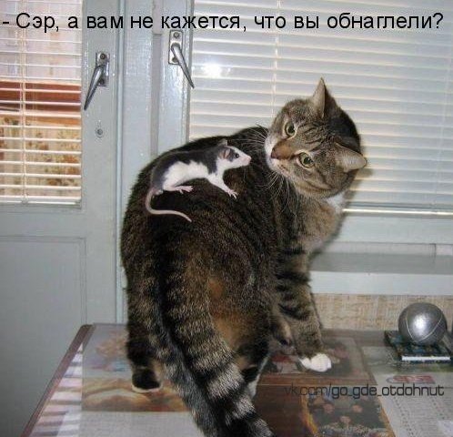 Подборка интересных и веселых картинок
