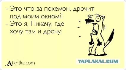 Панин гуляет в женском нижнем белье и мастурбирует, 21+